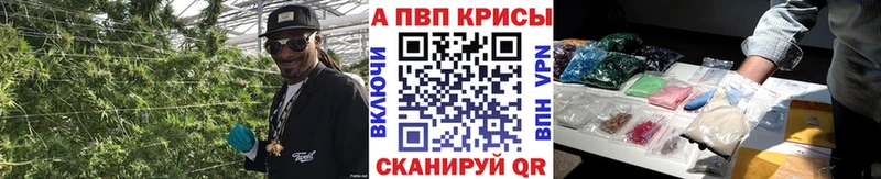 Все наркотики Шумиха COCAIN ГАШ